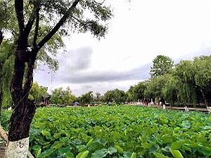 KUNMING - Parc Daguan - 09